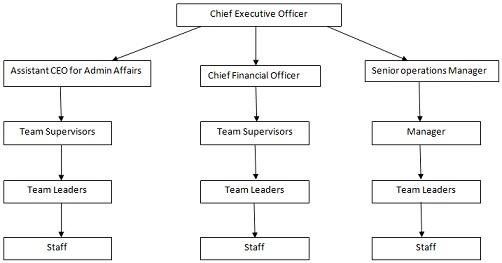 Organizational Structure of Al Saffa Foods.jpg