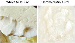 curd.jpg