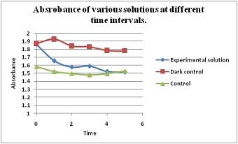 SLE132 Biology - Form And Function 1.jpg