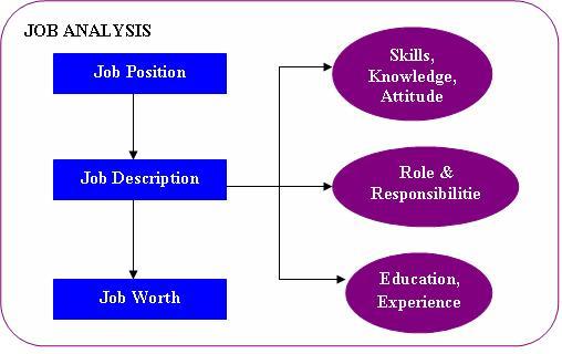 Conducting Job Analysis, Assignment Help, Homework Help, HRM