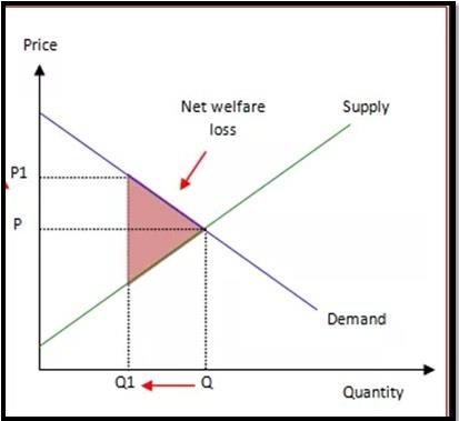 HSH717 Health Economics 1.jpg