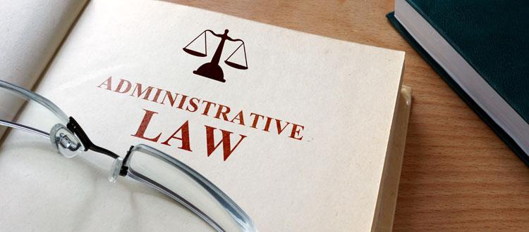 Administrative Law Assignments Help, Law Assignment Help