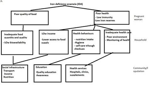 UNICEF Framework.jpg