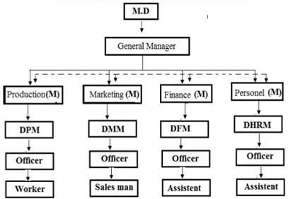 Line And Staff Organizational Structure.jpg