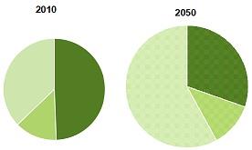 Environmental Impact 1.jpg