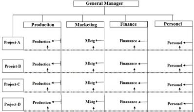 Matrix Organizational Structure.jpg
