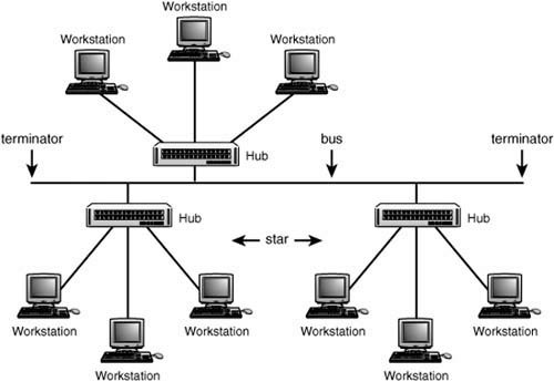 92_550_tree_topology.jpg